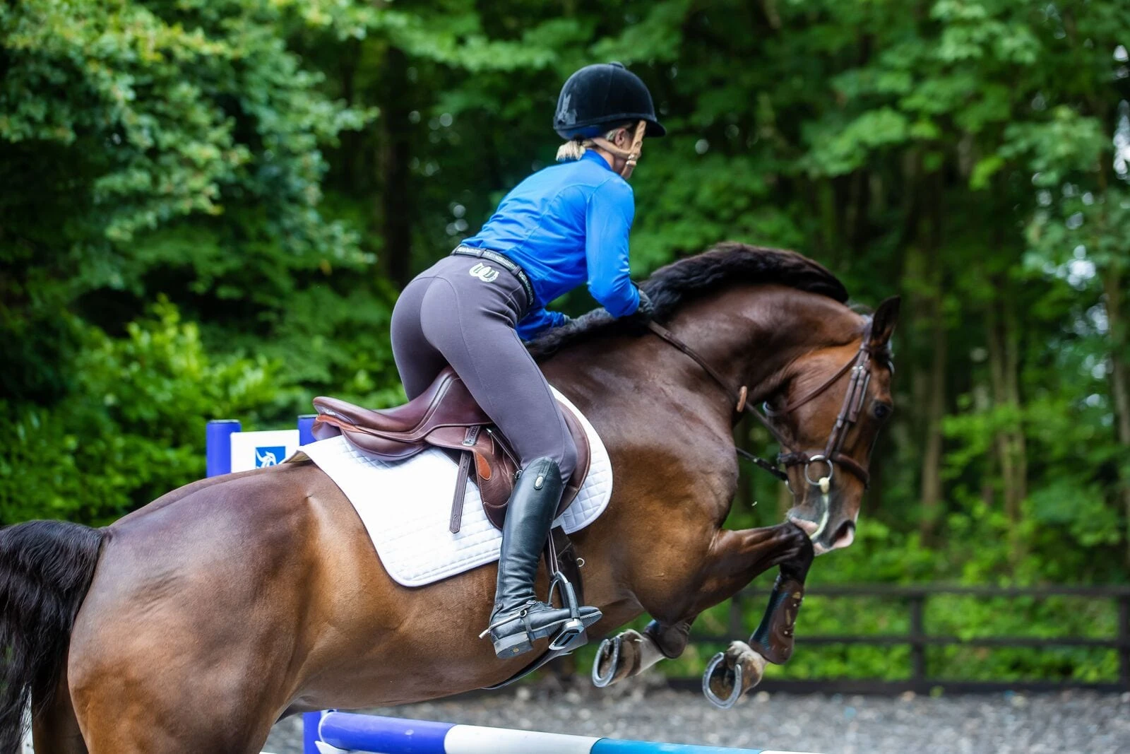 Grey Breeches